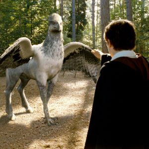 Only Someone Who Eats, Sleeps, & Breathes Trivia Can Pass This Quiz Hippogriff