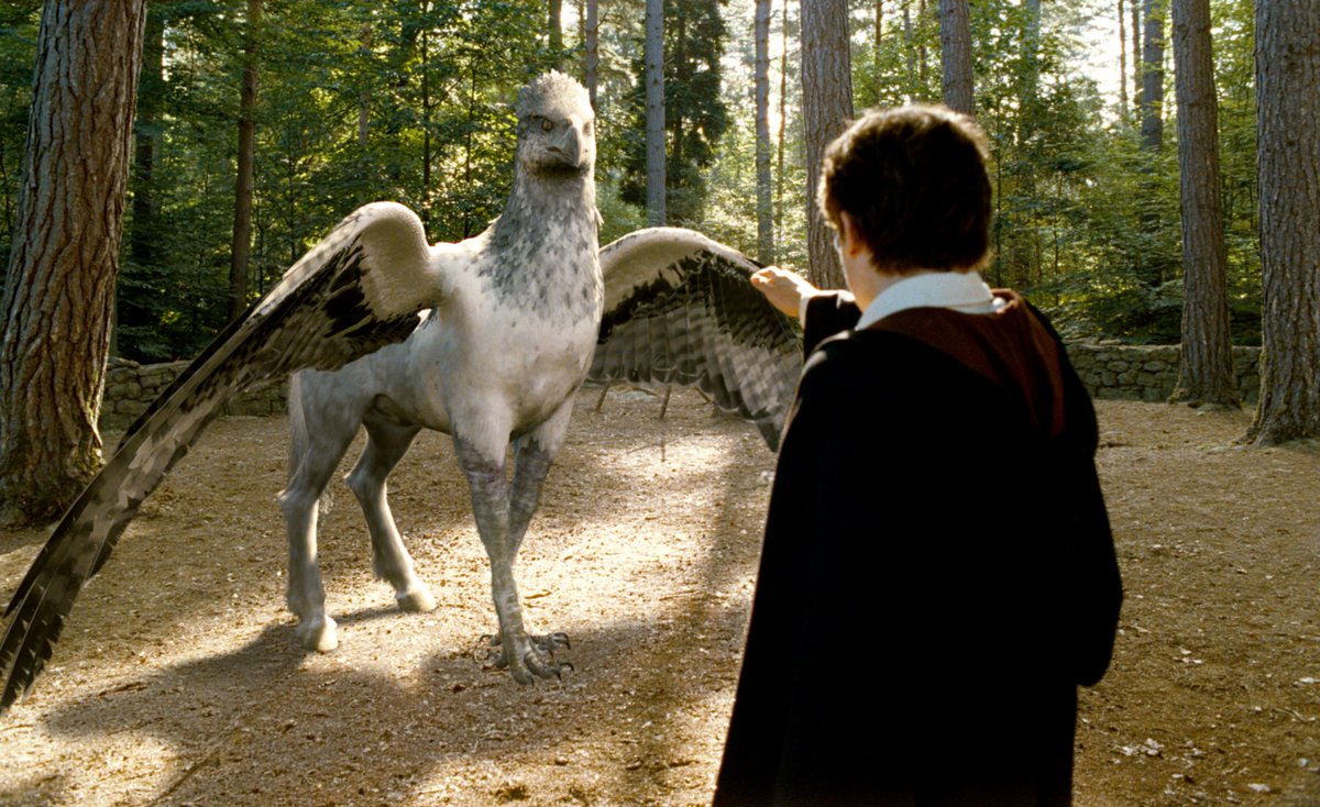 What Aesthetic Am I? hippogriff