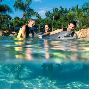 Take a Trip Around the US and We’ll Guess Where You Are from Discovery Cove