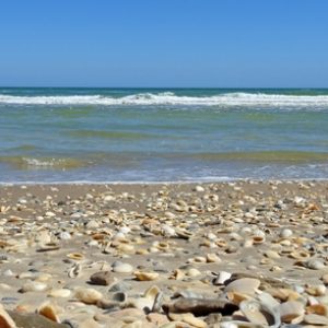 Take a Trip Around the US and We’ll Guess Where You Are from Padre Island National Seashore