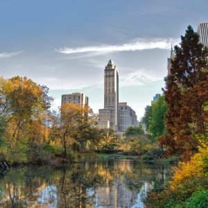 Take a Trip Around the US and We’ll Guess Where You Are from Central Park
