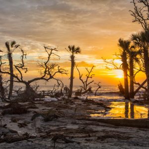 Take a Trip Around the US and We’ll Guess Where You Are from Hunting Island State Park