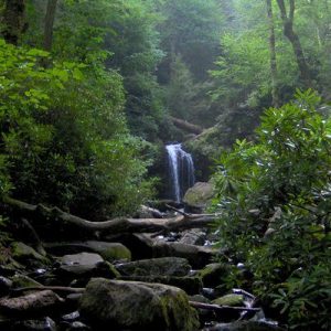 Take a Trip Around the US and We’ll Guess Where You Are from Great Smoky Mountains National Park