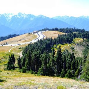 Take a Trip Around the US and We’ll Guess Where You Are from Hurricane Ridge