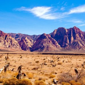 Create Your Dream 🚗 USA Road Trip to Find Out What Season Your Soul Aligns With Nevada