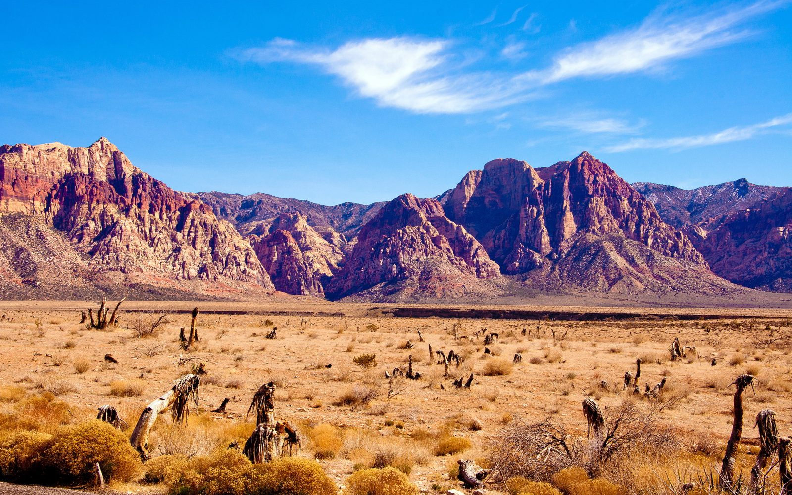 Take a Trip Around the US and We’ll Guess Where You Are from Nevada