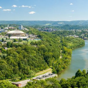 🐻 Can You Identify These US States Based on Their Official Animals? West Virginia