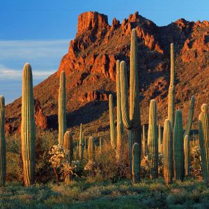 Can You Pass This Impossible Geography Quiz? Arizona