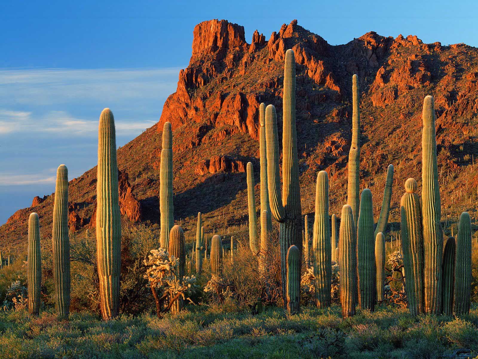 Take a Trip Around the US and We’ll Guess Where You Are from Arizona