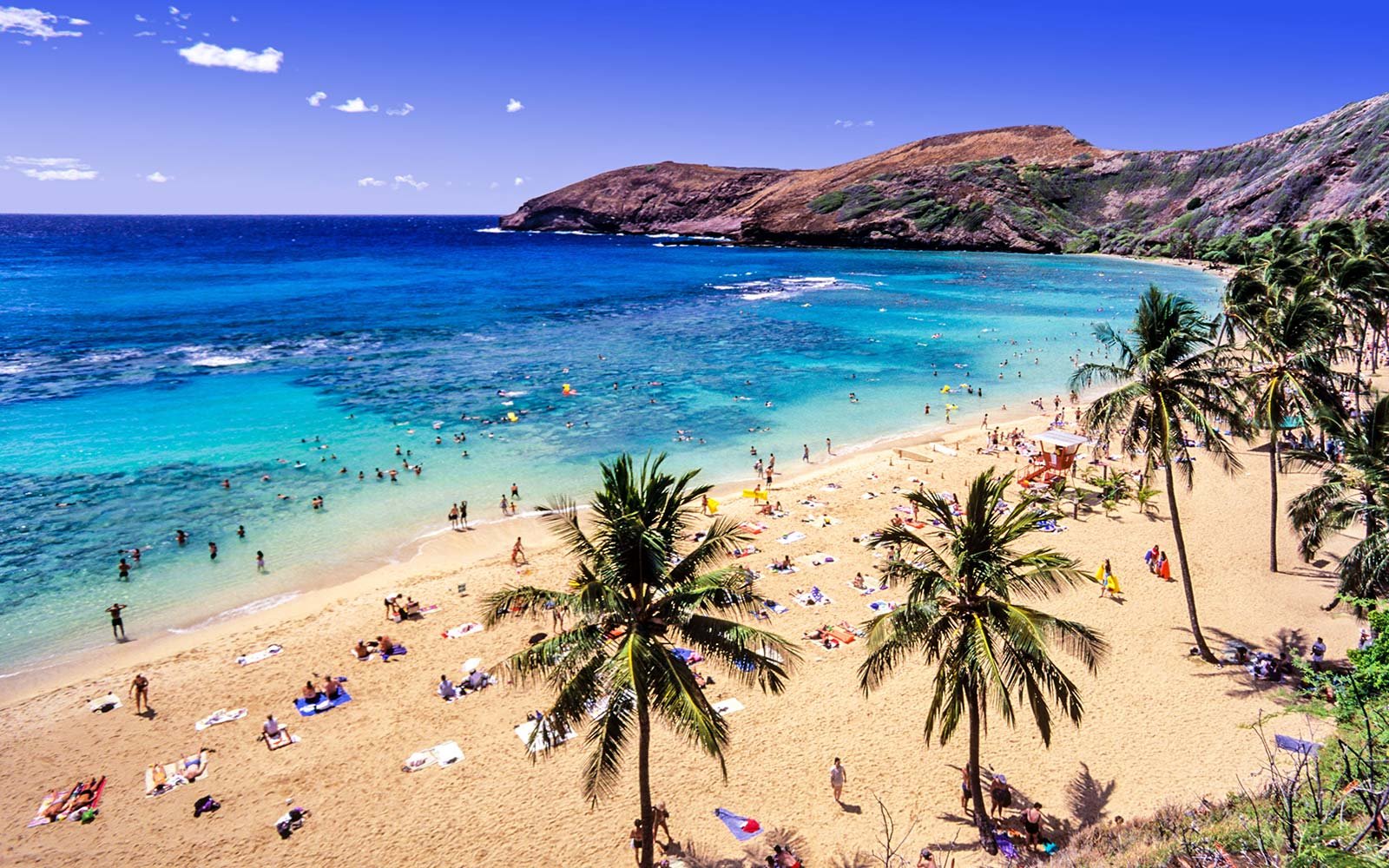 If You Don’t Get a “C” Or Better on This Geography Quiz, You Need to Repeat 5th Grade Hanauma Bay Nature Preserve