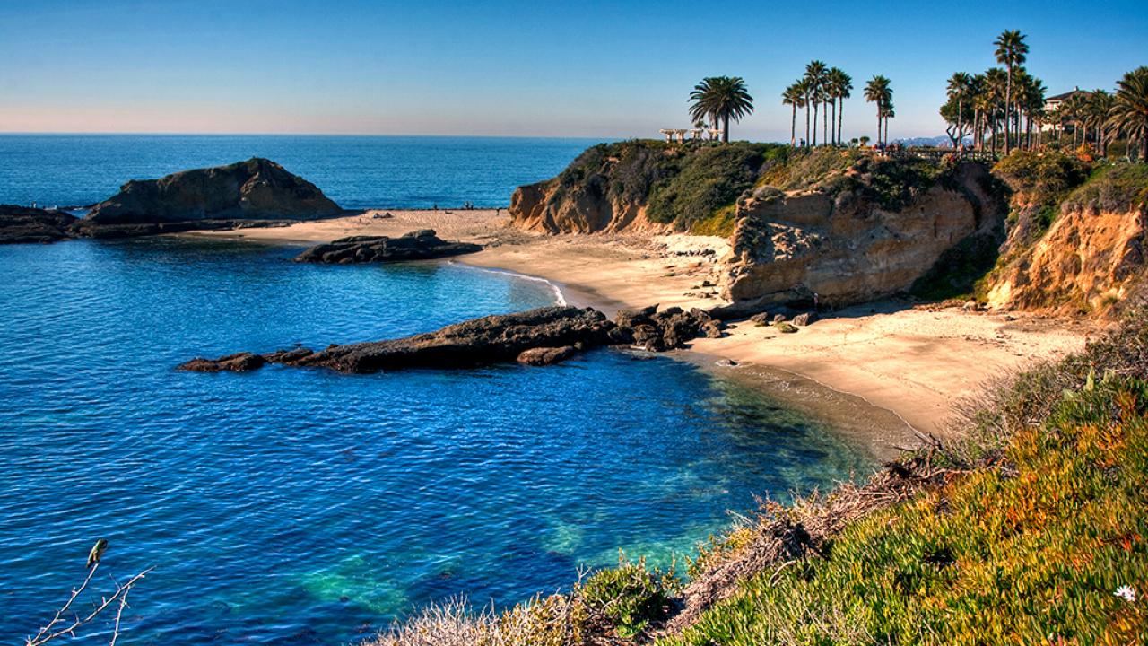 Take a Trip Around the US and We’ll Guess Where You Are from california