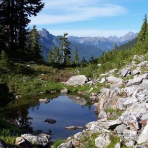 Take a Trip Around the US and We’ll Guess Where You Are from Olympic National Park