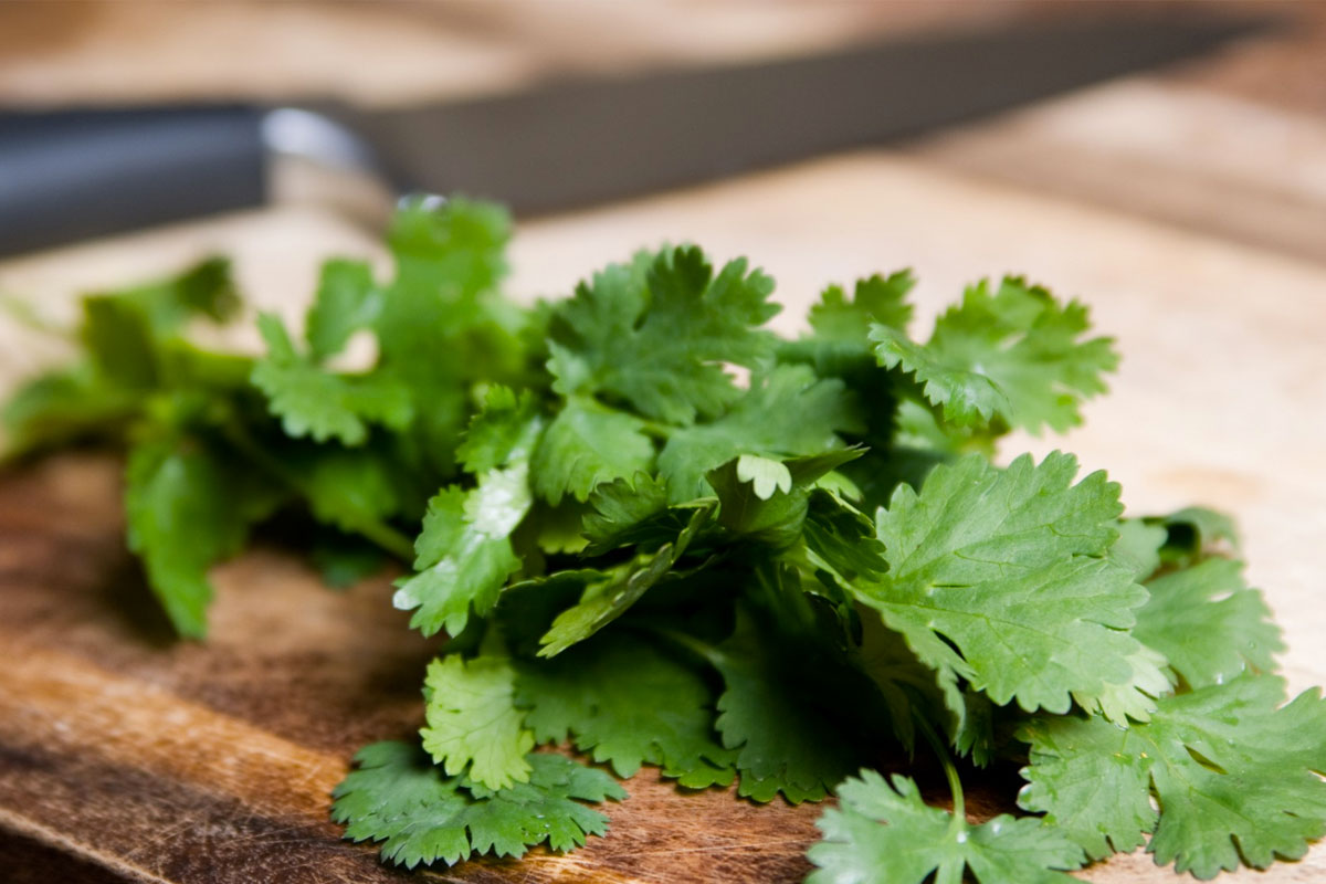 How Sophisticated Is Your Taste in Food? cilantro