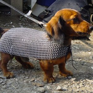 What Period in History Do You Actually Belong In? Chain Mail