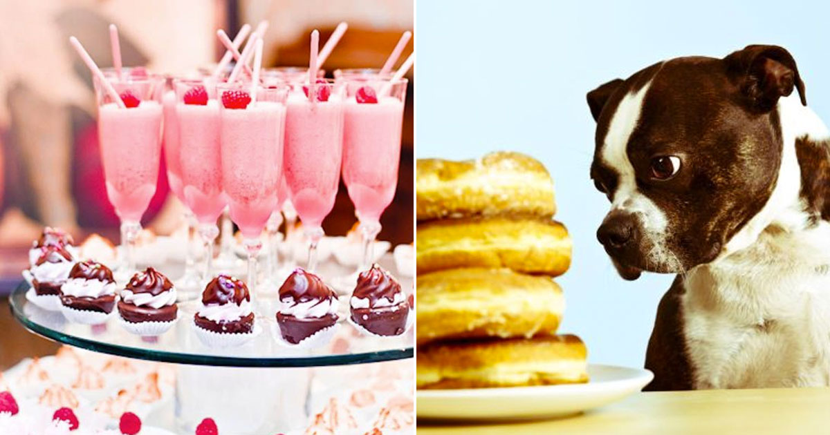 Pick 5 Snacks, 5 Desserts & 5 Drinks to Know Which Pupp… Quiz