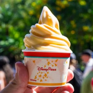 Eat Your Way Through Disney Parks and We’ll Guess How Old You Are Dole Whip