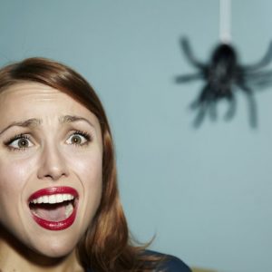 Your Random Knowledge Is Lacking If You Don't Get 15 On This Quiz Spiders