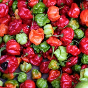 If You Can Classify Foods, Your Taste Buds Are Elite Quiz Peppers