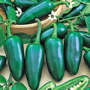 Can You Get Through Culinary School Without Getting Yel… Quiz Jalapeño