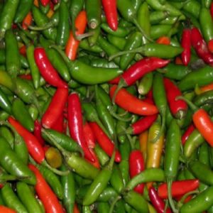 Can You Get Through Culinary School Without Getting Yel… Quiz Serrano Pepper