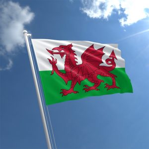Can You Pass the British Citizenship Test? Wales