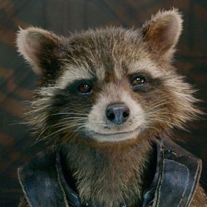 Which Marvel Character Are You? Rocket Raccoon