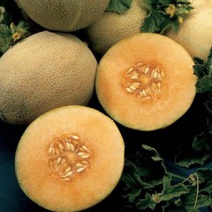 How Impressive Is Your General Knowledge? Quiz Melon