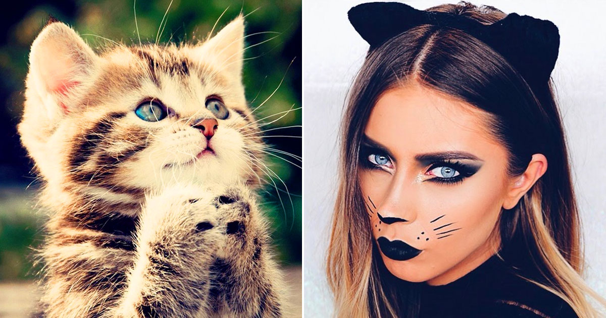 🐱 Build a Cat and We'll Guess What You Look Like Quiz