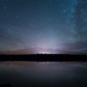 Fursona Quiz Starry Night Observation