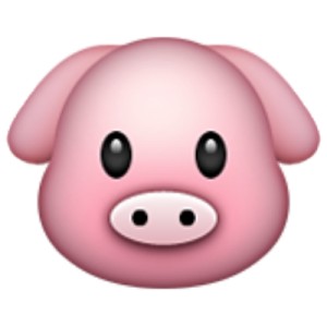 This Test Will Reveal 1 Good & 1 Bad Truth About You Quiz Pig