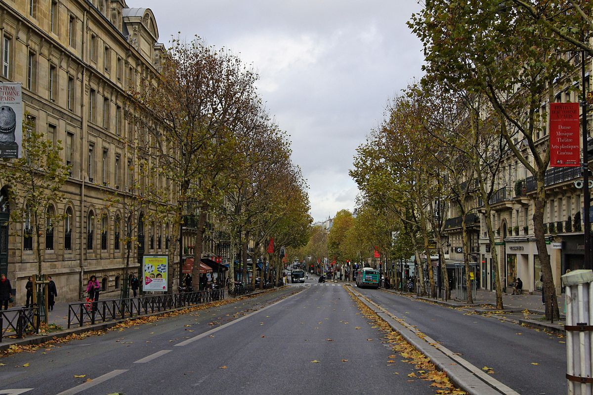 Spend a Day in Paris and We’ll Reveal a Truth About You paris boulevard
