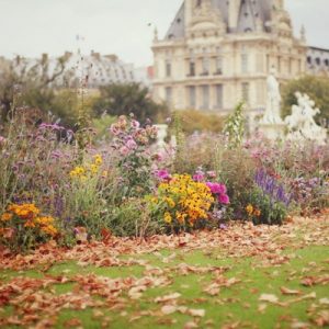 Spend a Day in Paris and We’ll Reveal a Truth About You Jardin des Tuileries