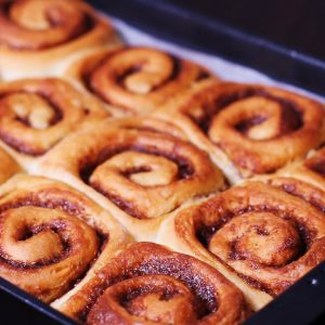 I Will Use AI to Figure Out 🐶 What Pet Suits You Based on the 🍔 Food You Like Cinnamon roll