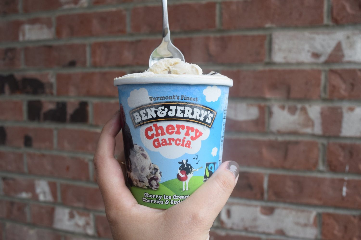 🍨 Rate These Ben & Jerry’s Flavors and We’ll Reveal What Kind of Soul You Have Cherry Garcia