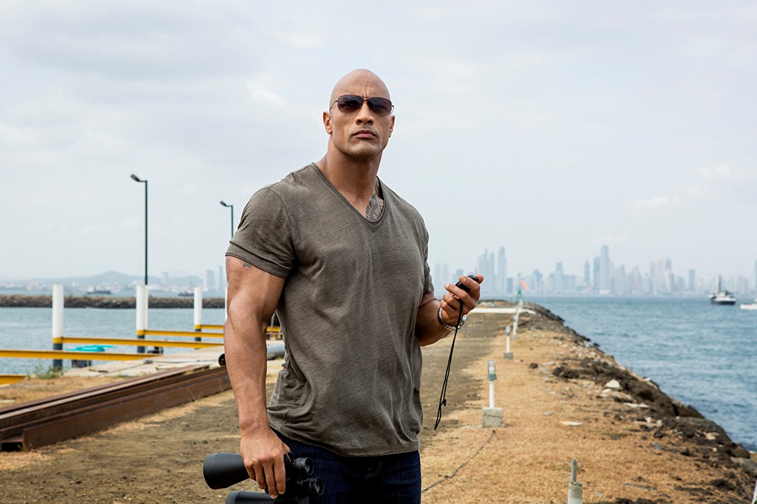 Time To Decide If Popular Male Celebs Are Hot Or Not Quiz Dwayne Johnson