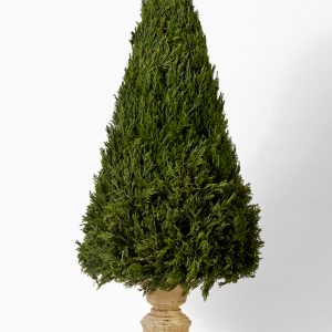 🎄 Decorate Your Christmas Tree and We’ll Reveal How Old You REALLY Act Cypress