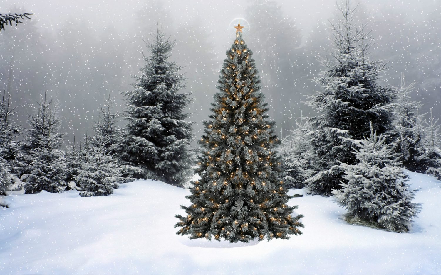 🎄 Decorate Your Christmas Tree and We’ll Reveal How Old You REALLY Act christmas tree11