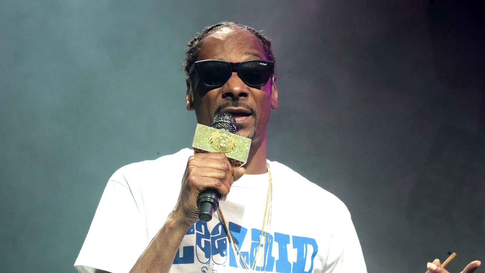 Do You Have as Much General Knowledge as You Think You Do? snoop dogg