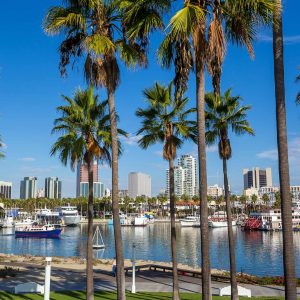 Hey, We Bet You Can’t Get Better Than 80% On This Random Knowledge Quiz California