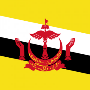No One Has Got a Perfect Score on This General Knowledge Quiz Without Cheating Brunei