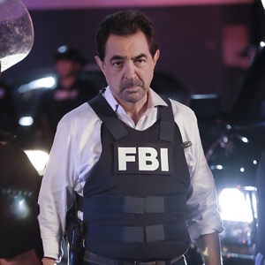 Choose Your Favorite TV Characters and We’ll Reveal the Type of Guys You’re into David Rossi