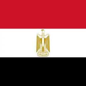 140 IQ Egypt