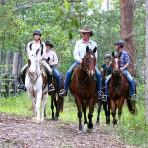 Create Imaginary Family to Know Which Fictional Family … Quiz Horseback riding
