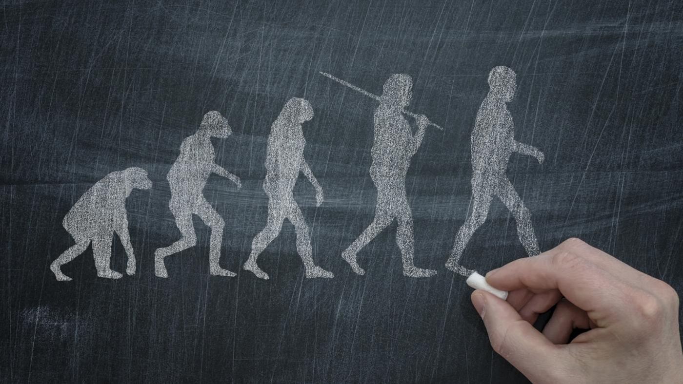 Only Straight-A Students Can Get at Least 12/15 on This General Knowledge Quiz theory of evolution