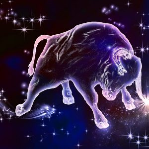 What Animal Am I? Taurus