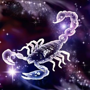 What Animal Am I? Scorpio
