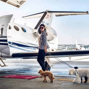 Stop Everything & Play This Travel Quiz To Know If You're Introvert Or Extrovert Private jet