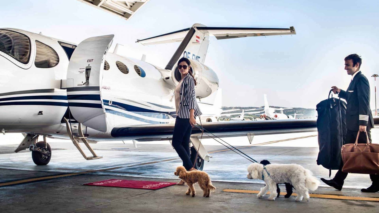 💸 Can You Waste $1 Million in a Week? private jet2