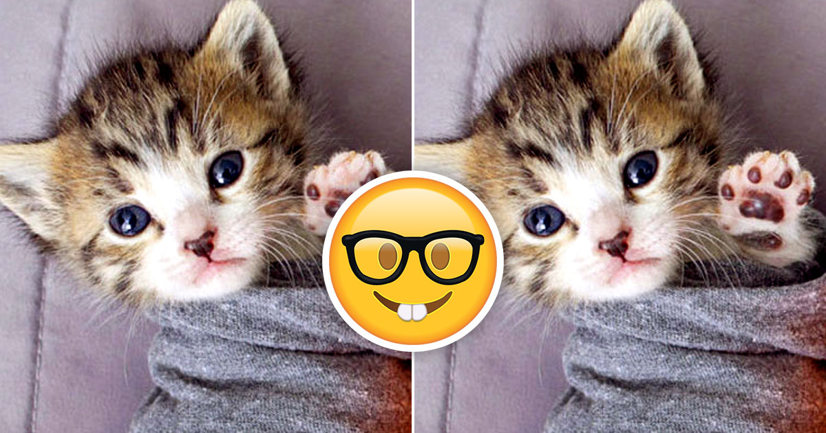 Only People With Perfect Vision Can Spot the Differences in These Pictures
