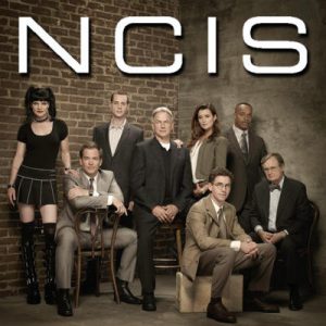 Pick a Bunch of TV Shows and We’ll Tell You Who Your TV Girlfriend Is NCIS